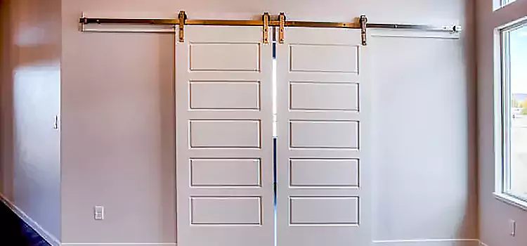 Glass Barn Door with Installation Hardware Kit Lenexa