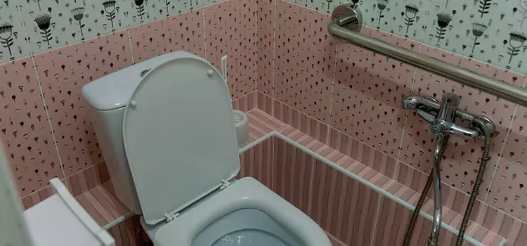 Meeting Diverse Needs With Accessible Restroom Solutions in Lenexa, KS